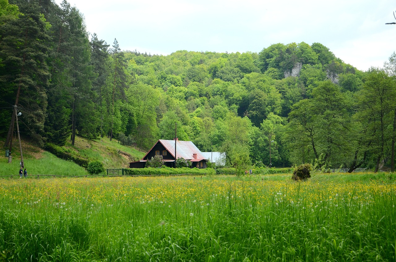 How to Draw a Charming Cottage in 7 Steps